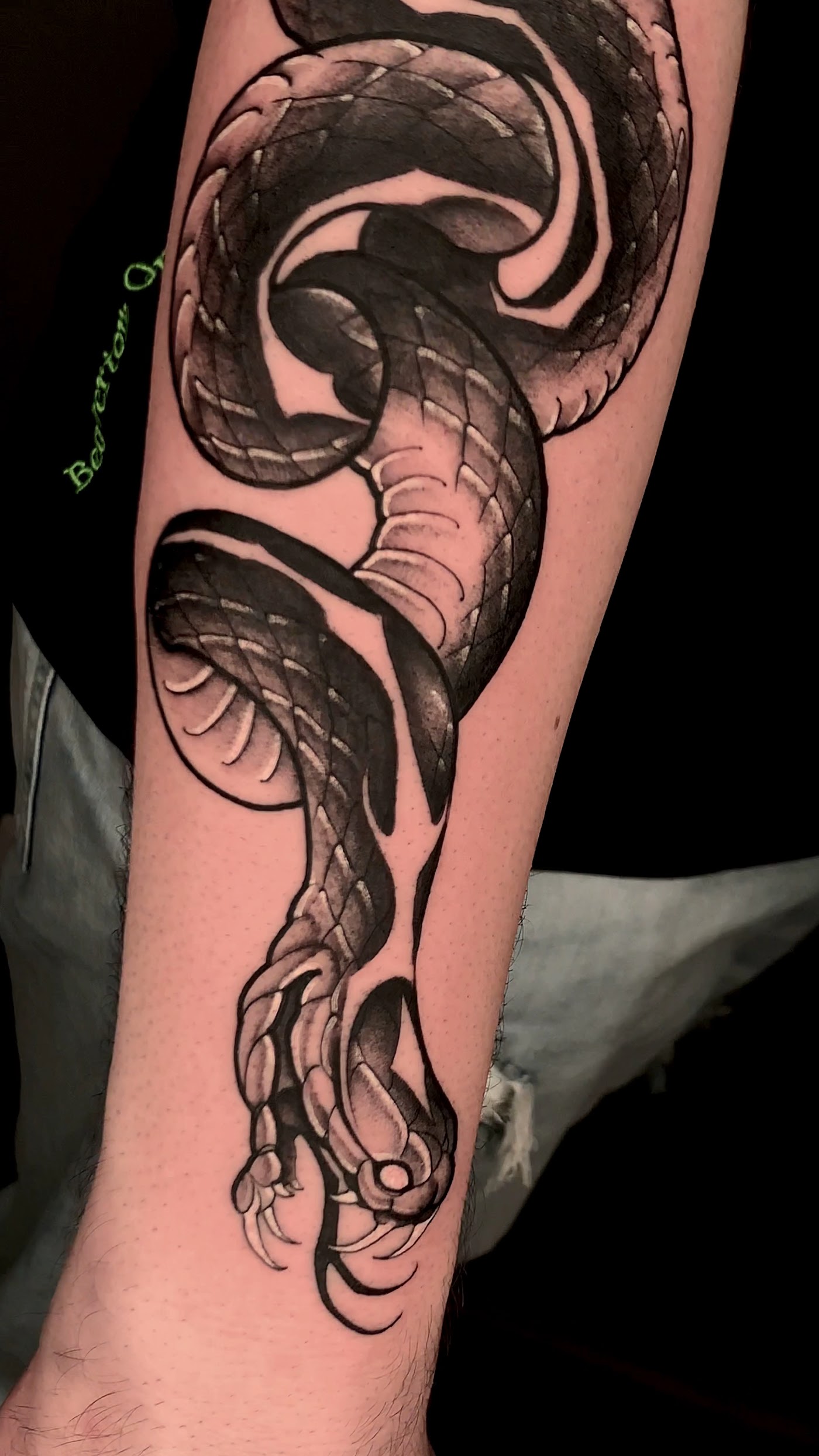 Serpente blackwork sull'avambraccio